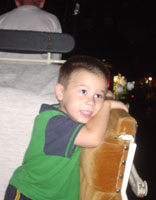 Horse drawn carriage rides around Old Town
